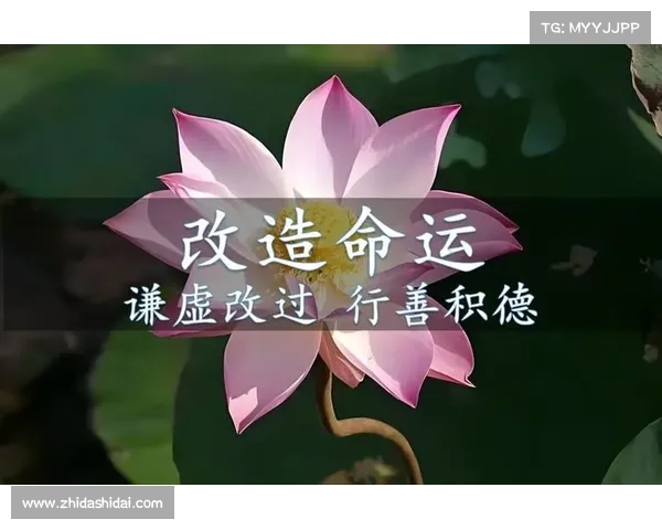 掌控命运的四个关键步骤让你掌握人生的主动权并迎接全新挑战 掌控命运的四个关键步骤让你掌握人生的主动权并迎接全新挑战