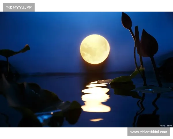 月光下的迷途灵魂:如何在寂静夜空中找回遗失的自我 月光下的迷途灵魂:如何在寂静夜空中找回遗失的自我